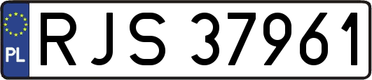 RJS37961