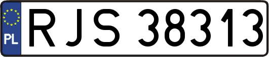 RJS38313