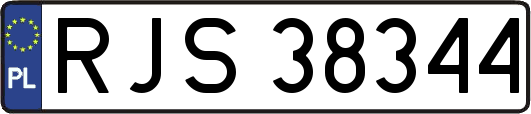 RJS38344
