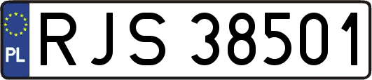 RJS38501