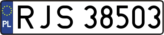 RJS38503