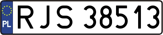RJS38513