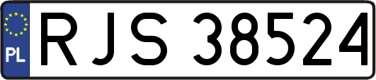 RJS38524