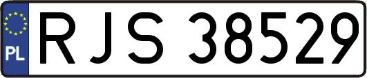 RJS38529