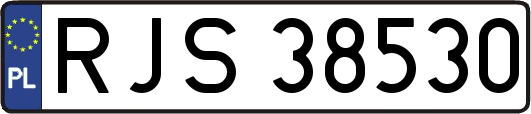 RJS38530