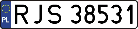 RJS38531