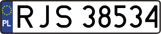 RJS38534