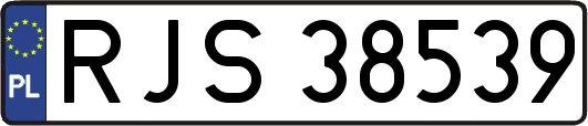 RJS38539