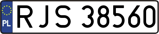 RJS38560