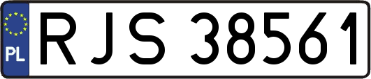 RJS38561