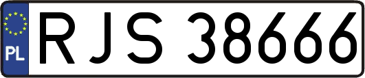 RJS38666