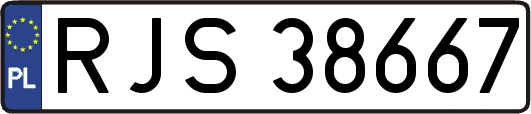 RJS38667
