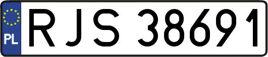 RJS38691