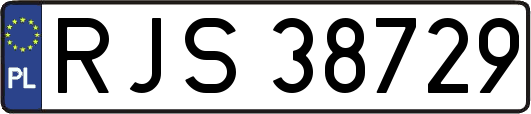RJS38729