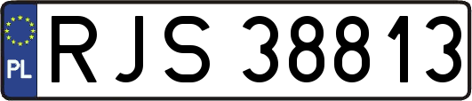 RJS38813