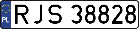 RJS38828