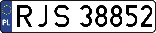 RJS38852