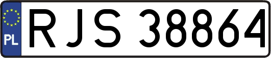RJS38864