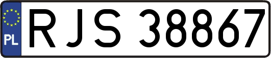RJS38867