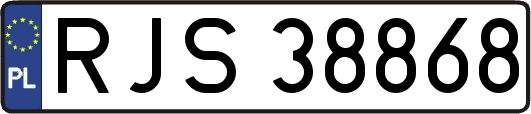 RJS38868