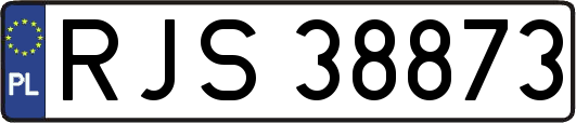 RJS38873