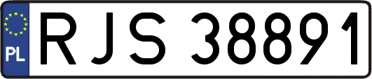 RJS38891