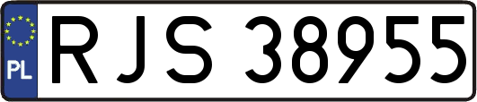 RJS38955