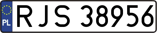 RJS38956