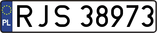 RJS38973