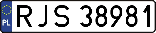 RJS38981