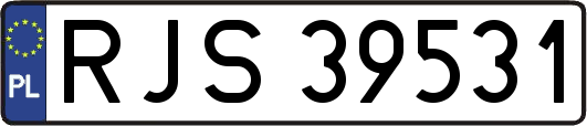 RJS39531