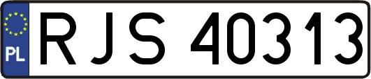 RJS40313