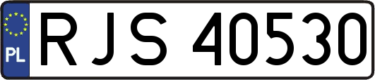 RJS40530