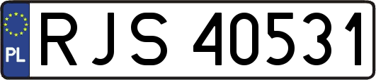 RJS40531