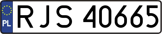 RJS40665