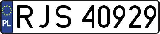 RJS40929