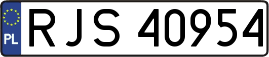 RJS40954