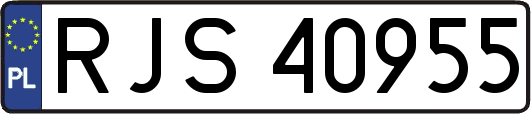 RJS40955