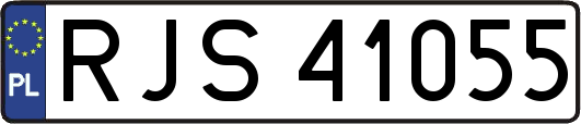 RJS41055