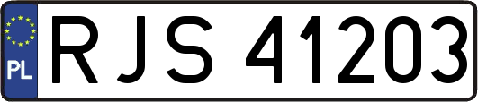 RJS41203