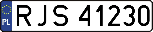RJS41230