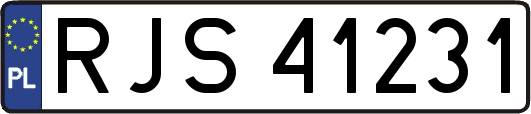 RJS41231