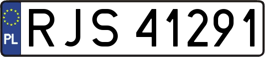 RJS41291