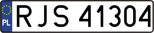 RJS41304