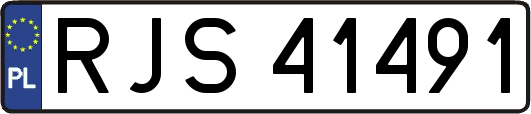 RJS41491