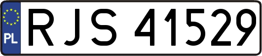 RJS41529