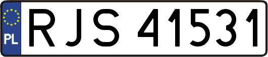 RJS41531