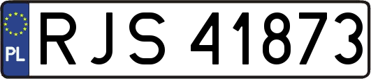 RJS41873