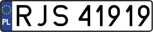 RJS41919