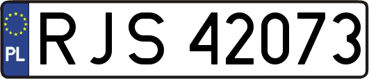 RJS42073